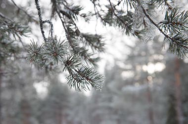 la légende du Père Noël