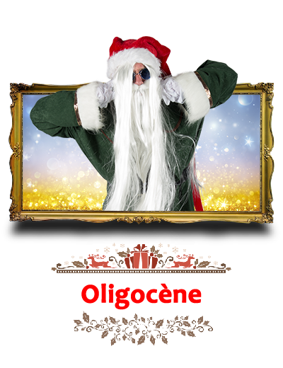 oligocene
